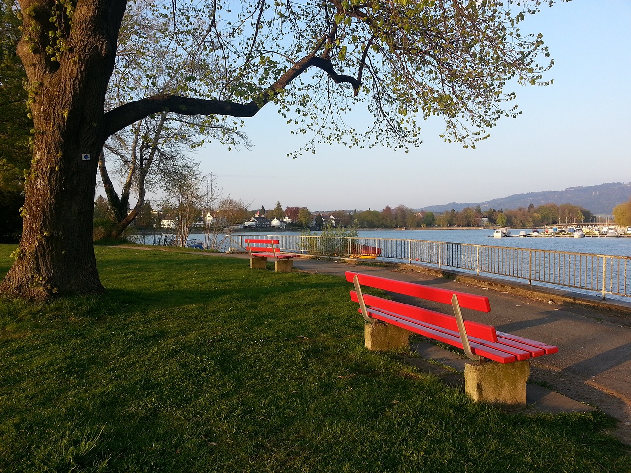 聯賽增添看 聯賽增添看