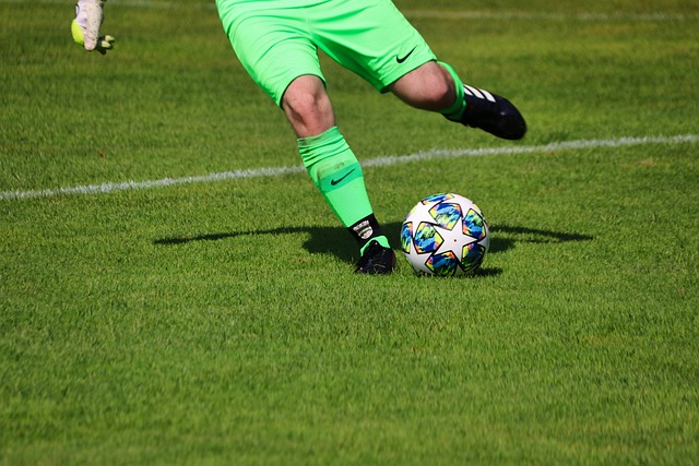 的多樣化與 的多樣化與