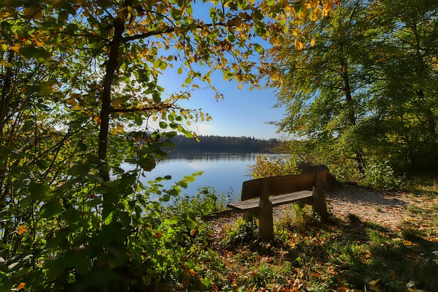 哈托直红梅 哈托直红梅