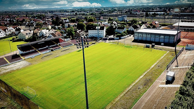 更离不开梅 更离不开梅