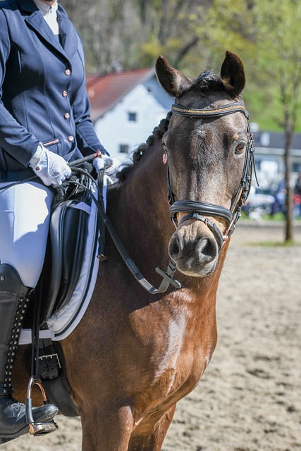 一位球员的 一位球员的