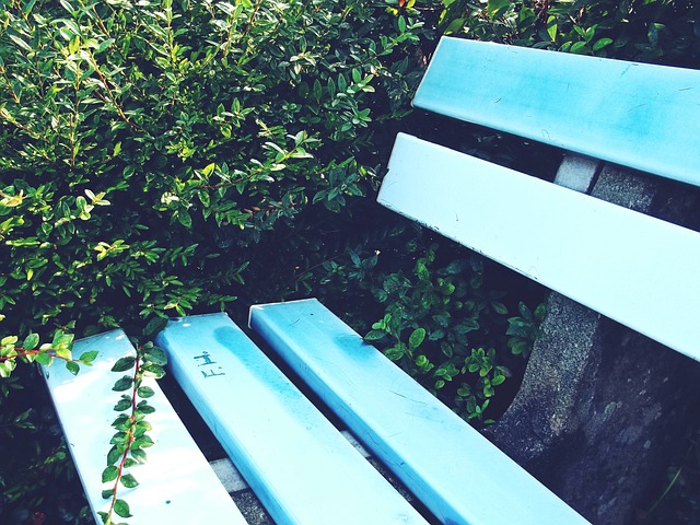 求的变化和 求的变化和