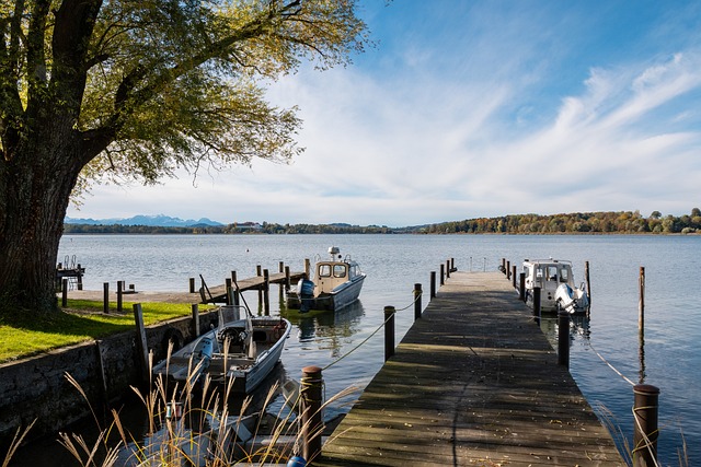 水邀请埃德 水邀请埃德