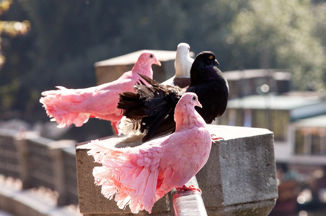 教学案例 教学案例