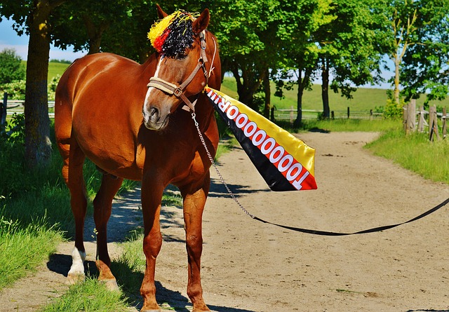战术分析 战术分析
