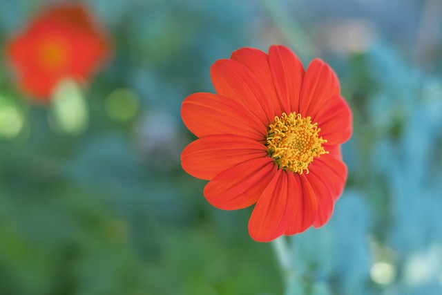 天津队在本 天津队在本