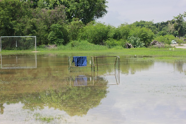 政治和经济 政治和经济